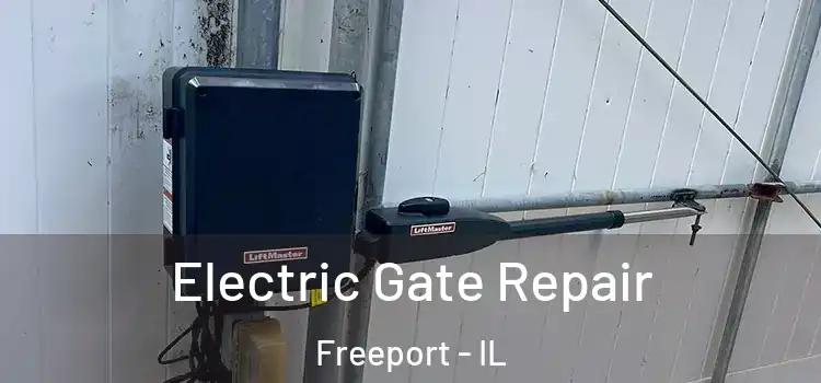 Electric Gate Repair Freeport - IL