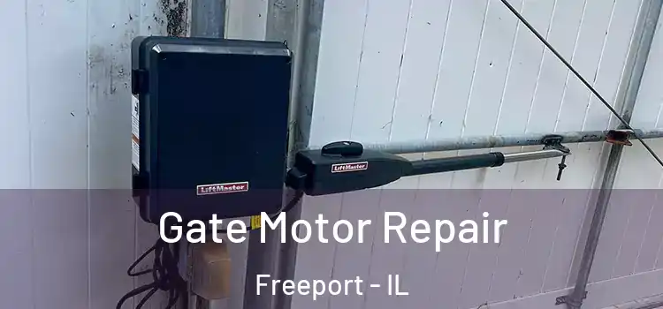 Gate Motor Repair Freeport - IL