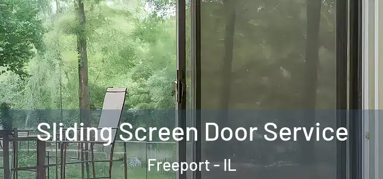 Sliding Screen Door Service Freeport - IL